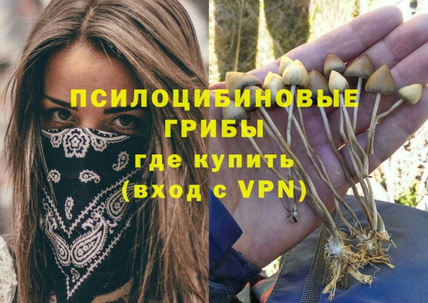 mix Медногорск